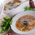 Krupnik Ã¢â¬â Polish Pearl Barley Soup Royalty Free Stock Photo